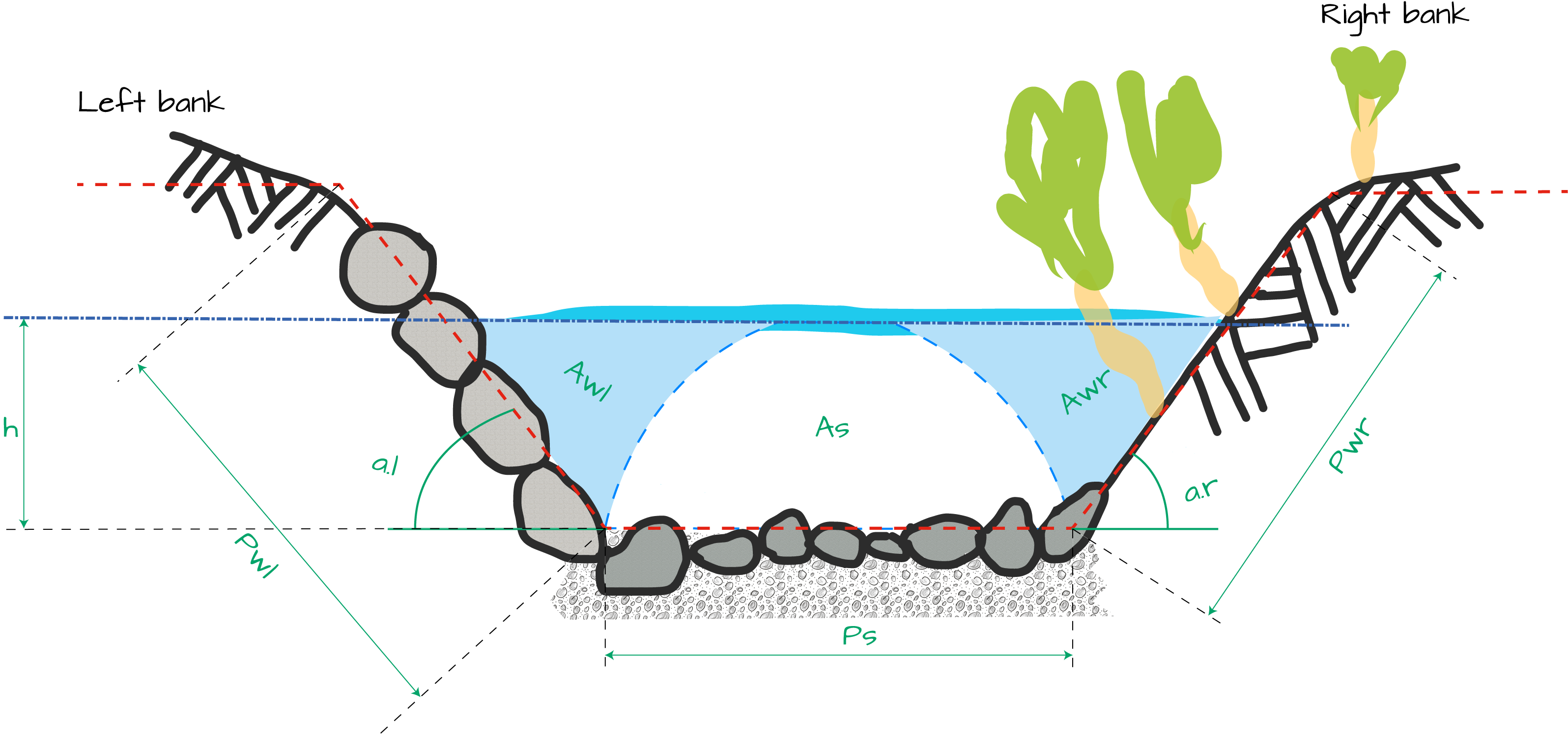 cross section